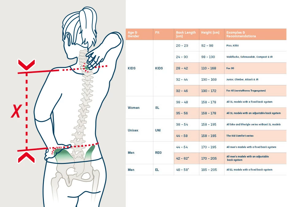 Deuter AC Lite 22 SL Dames Rugzak - Cinnamon-teal 2 Deuter AC Lite 22 SL Dames Rugzak - Cinnamon-teal - Afbeelding 2