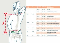 Deuter Aircontact Lite 35+10 SL Dames Trekkingrugzak - Caspia-ivy -Msr Gear Shop backlength measurement 1428892 43