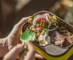 Wildo Camp-A-Box Basic GREEN Dishes - Raspberry -Msr Gear Shop campabox 1572346