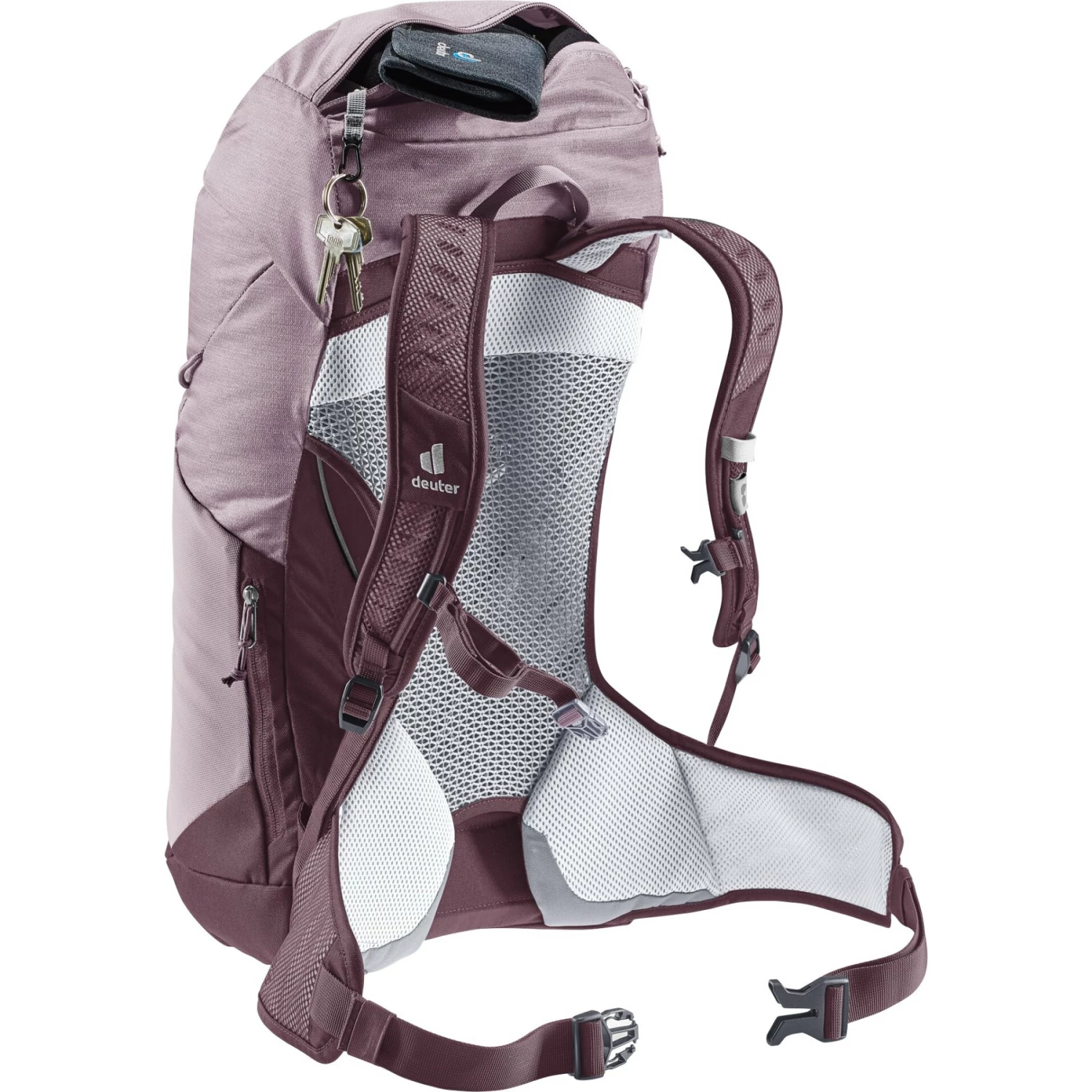 Deuter AC Lite 22 SL Dames Rugzak - grape-aubergine Deuter AC Lite 22 SL Dames Rugzak - Grape-aubergine -Msr Gear Shop deuter ac lite 22 sl women backpack grape aubergine 10 1171034