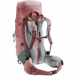Deuter Aircontact Lite 35+10 SL Dames Trekkingrugzak - Caspia-ivy -Msr Gear Shop deuter aircontact lite 35 10 sl women backpack caspia ivy 4 1439781