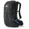 Gregory Citro 30 Backpack - Ozone Black