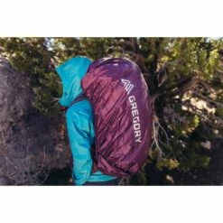 Gregory Deva 60 Women's Backpack - Emerald Green -Msr Gear Shop gregory deva 70 womens backpack 8 1193772