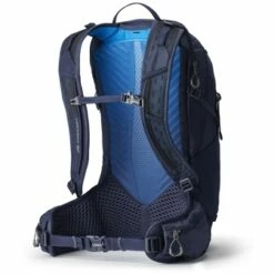 Gregory Miko Plus 20 Rugzak - Volt Blue -Msr Gear Shop gregory miko 20 backpack voltblue 3 1429218