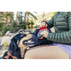 Gregory Nano 30 Rugzak - Bright Navy -Msr Gear Shop gregory nano 30 backpack bright navy 2 1544414