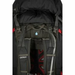 Osprey Aether Plus 100 Backpack - Axo Green - L/XL 18 Osprey Aether Plus 100 Backpack - Axo Green - L/XL -Msr Gear Shop osprey aether plus 100 axo green 9 1118015