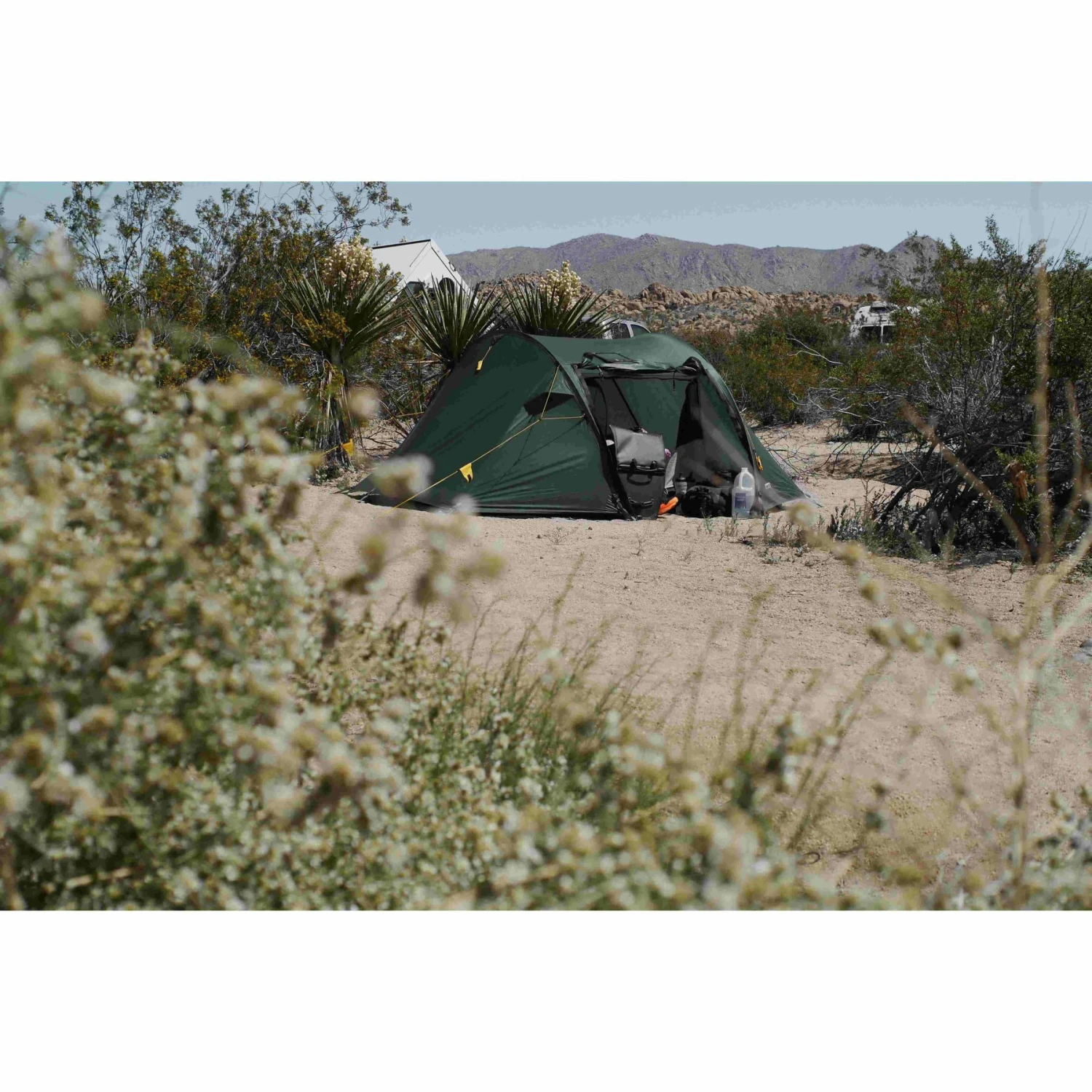 Wechsel Pioneer Tent - groen Wechsel Pioneer Tent - Groen -Msr Gear Shop wechsel pioneer 231054 15 1162169